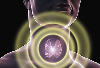 Hypoparathyreoidismus - Unterfunktion der Nebenschilddrüsen
