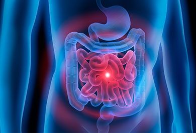Update Endokrinologie - Fokus NET