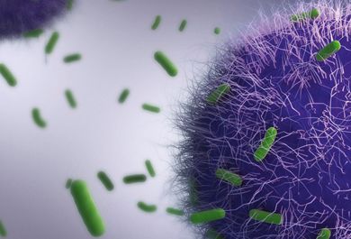 Anwendungsorientiertes Hintergrundwissen zum Immunsystem und zu dessen zentraler Bedeutung in der Sepsis
